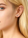 Starfish Stud Gold / Silver Beachcomber Stud Earrings