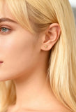 Starfish Stud Gold / Silver Beachcomber Stud Earrings