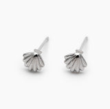 Shell Stud Gold / Silver Beachcomber Stud Earrings