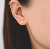 Shell Stud Gold / Silver Beachcomber Stud Earrings